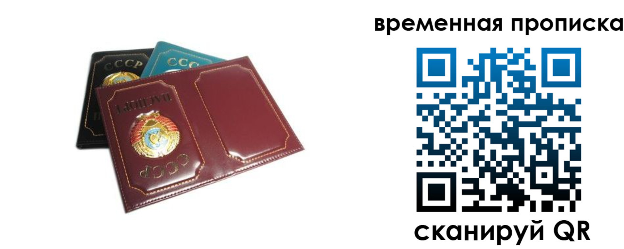прописка 2025 в Фрязино